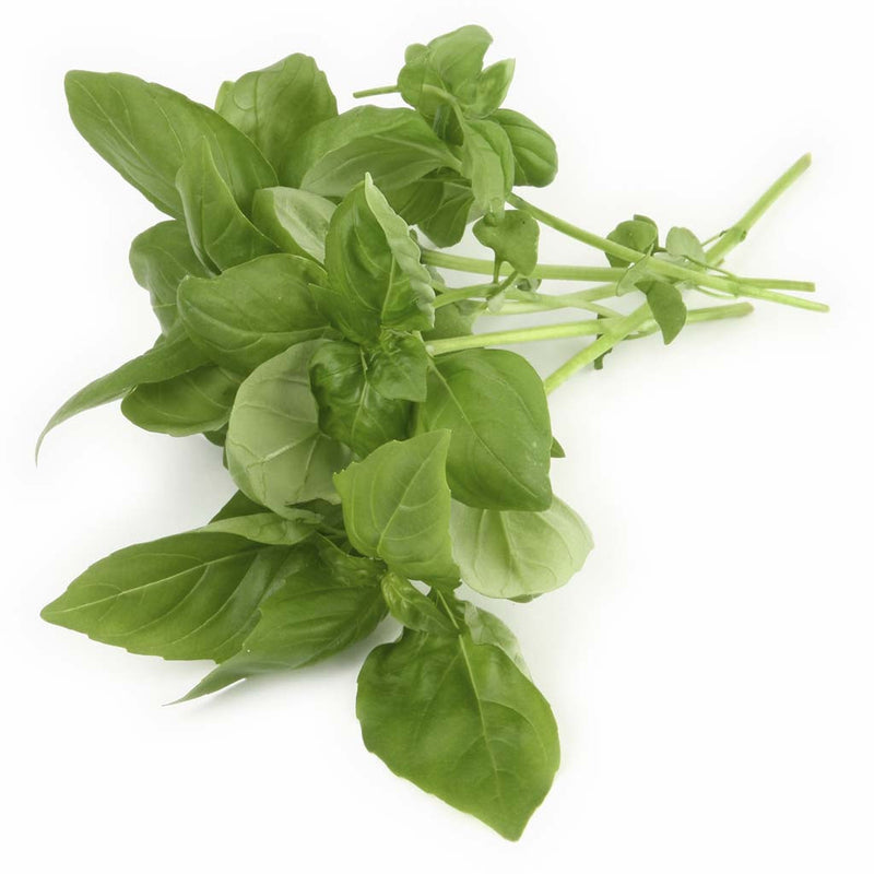Basil Olive Oil