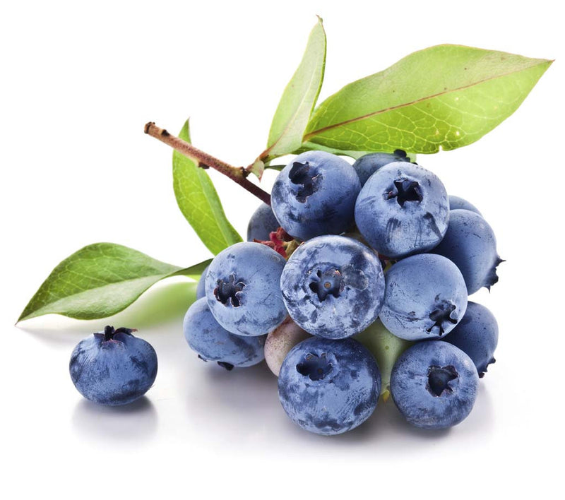 Blueberry Balsamic Vinegar