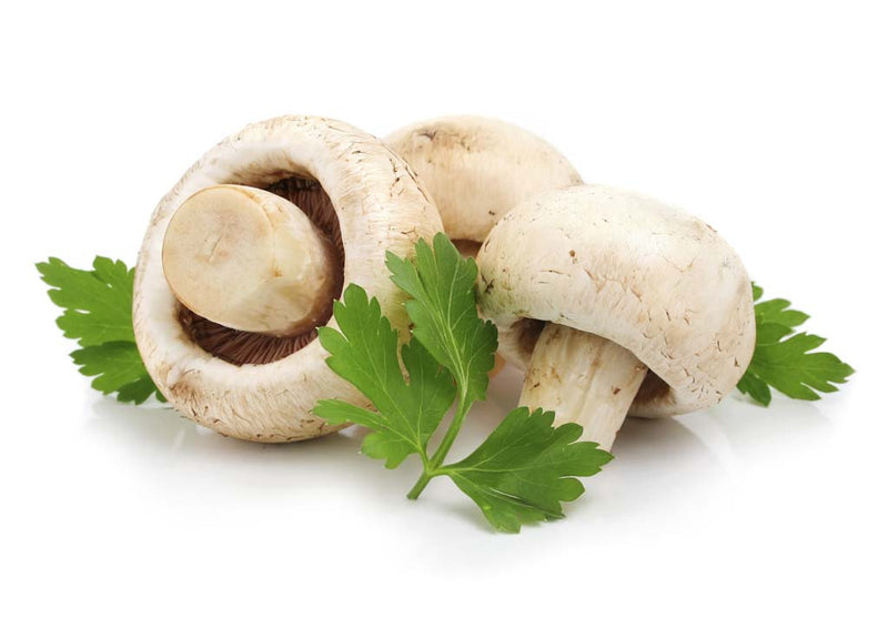 Wild Mushroom & Sage Olive Oil