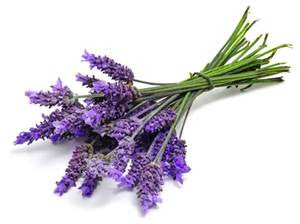 Lavender Balsamic Vinegar