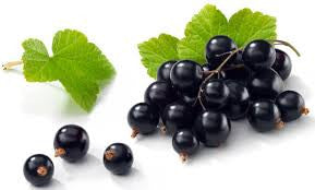 Black Currant Balsamic Vinegar