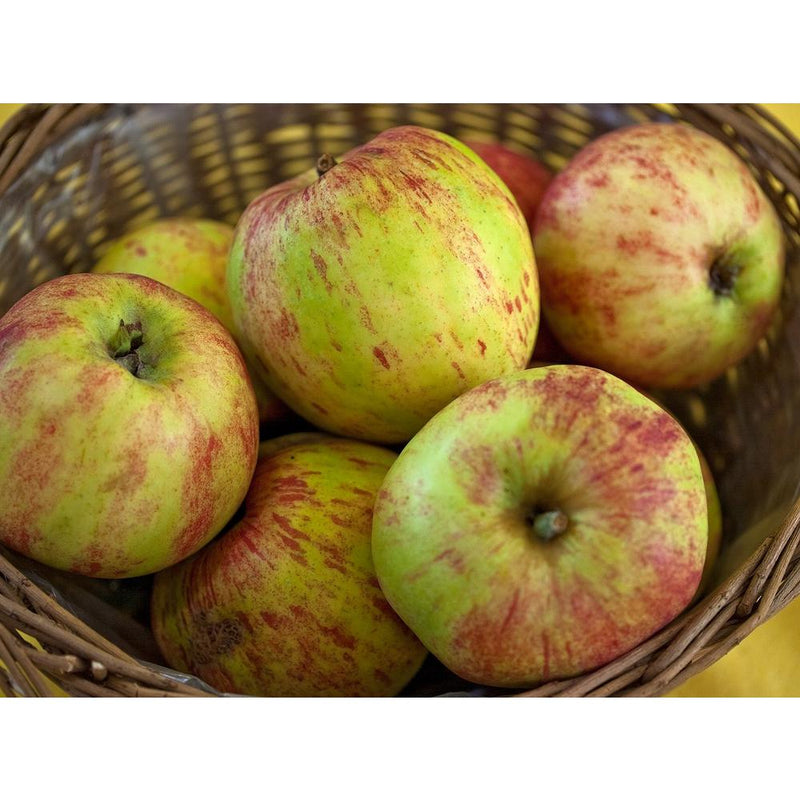 Gravenstein Apple Balsamic Vinegar